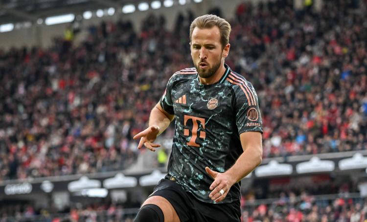 帮助他们适 帮助他们适