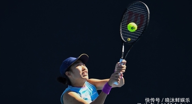 体系可靠性 体系可靠性